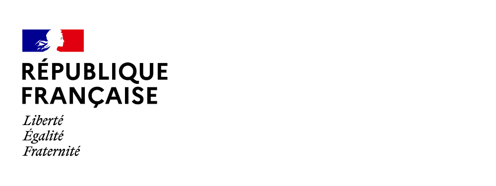 Logo de l'Agence Nationale du Sport